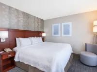 Courtyard Harlingen Hotels in Cameron County