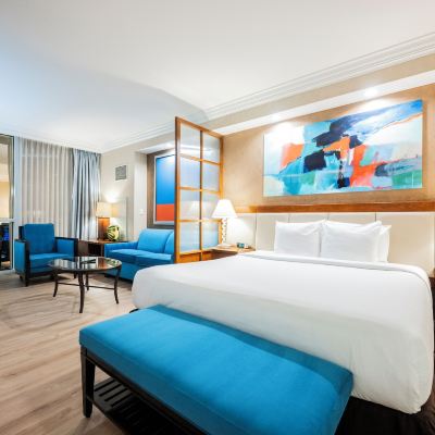 Remodeled Studio-Strip View StripViewSuites at Signature Promo Code