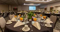 Hilton Garden Inn Cedar Falls