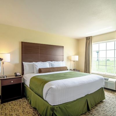 Suite, 1 King Bed, Non Smoking (Extended Stay-No Pets) Cobblestone Hotel & Suites - Paxton Promo Code
