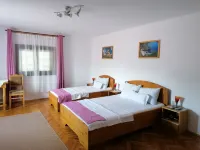 Pensiunea Ioana Hotels in 