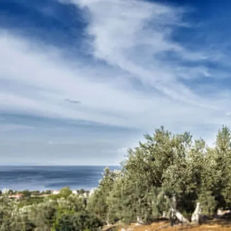 Epidavros Villas - Dafni Stone & Garden Retreat Отели в г. Эпидавр