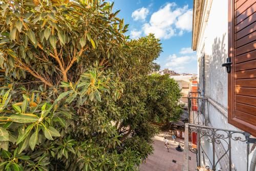 高级两卧室公寓