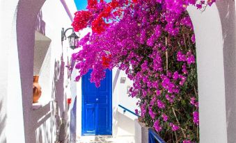 a narrow alleyway with white walls , blue doors , and pink flowers is decorated with blue shutters at Syros Atlantis