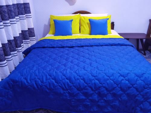 园景豪华双人或双床间