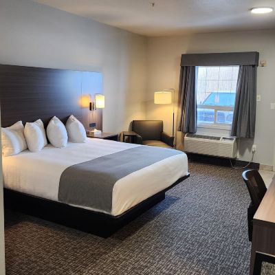 Deluxe Studio Suite Bcminns - Lac La Biche Promo Code