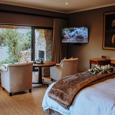 Luxury Studio Suite, 1 King Bed African Safari Lodge Promo Code