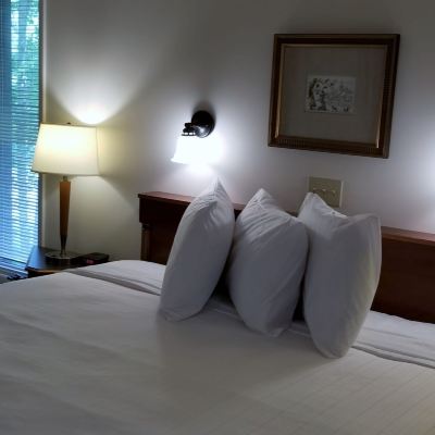 Standard Suite, 1 Queen Bed with Sofa Bed, Accessible Coolfont Resort Promo Code