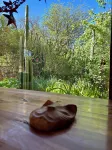 hostal qachisolcor Hotels in 