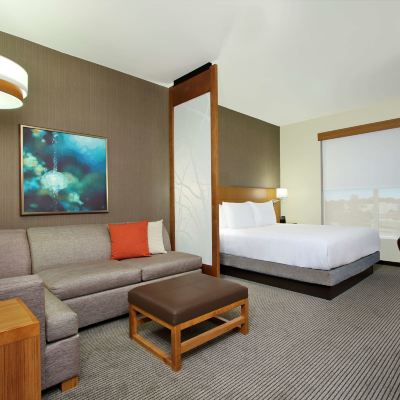 Accessible King Suite With Tub Hyatt Place Houston NW Vintage Park Promo Code