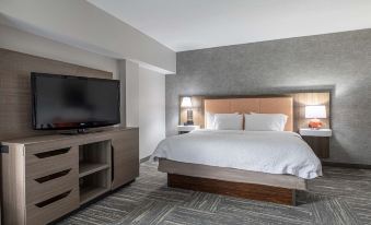 Hampton Inn & Suites Knoxville-Downtown