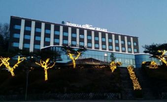 Chuncheon Bears Tourist Hotel