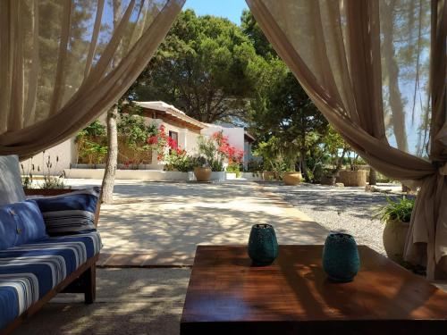 标准一卧室公寓