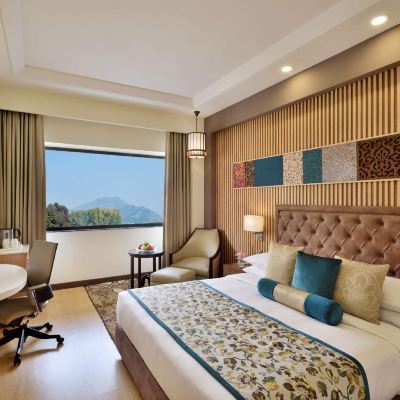 Standard Room Radisson Srinagar Promo Code