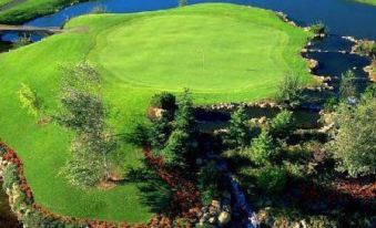 aerial view of a golf course surrounded by trees , with a pond in the background at Homestead Resort