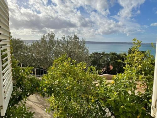 Apartment Ante Two-Bedroom Apartment