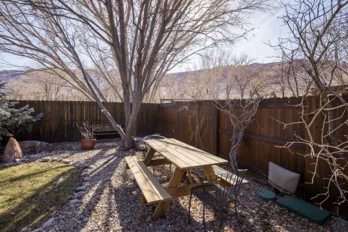 Cottonwoods 419