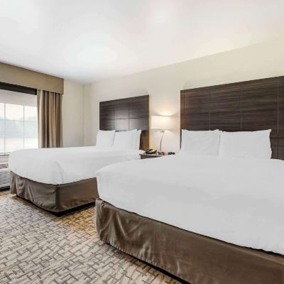 Room With Multiple Beds-Accessible/Non-Smoking Comfort Inn & Suites Promo Code