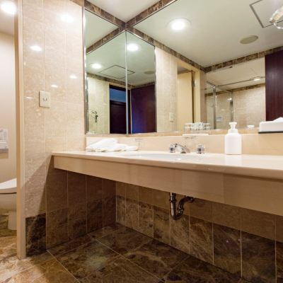 Standard Floor Deluxe Triple Smoking オークラアクトシティホテル浜松 クーポン