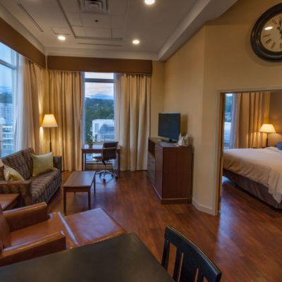 Executive Tower King Suite Hotel Ithaca Promo Code