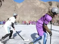 Citi Hotel Gilgit فنادق في جيلجيت