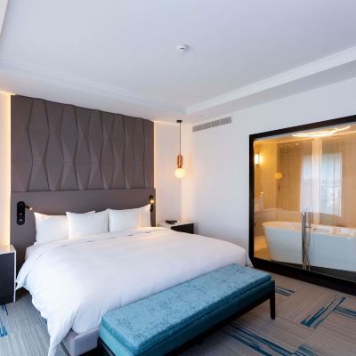 Junior King Suite Novotel Convention and Spa Promo Code