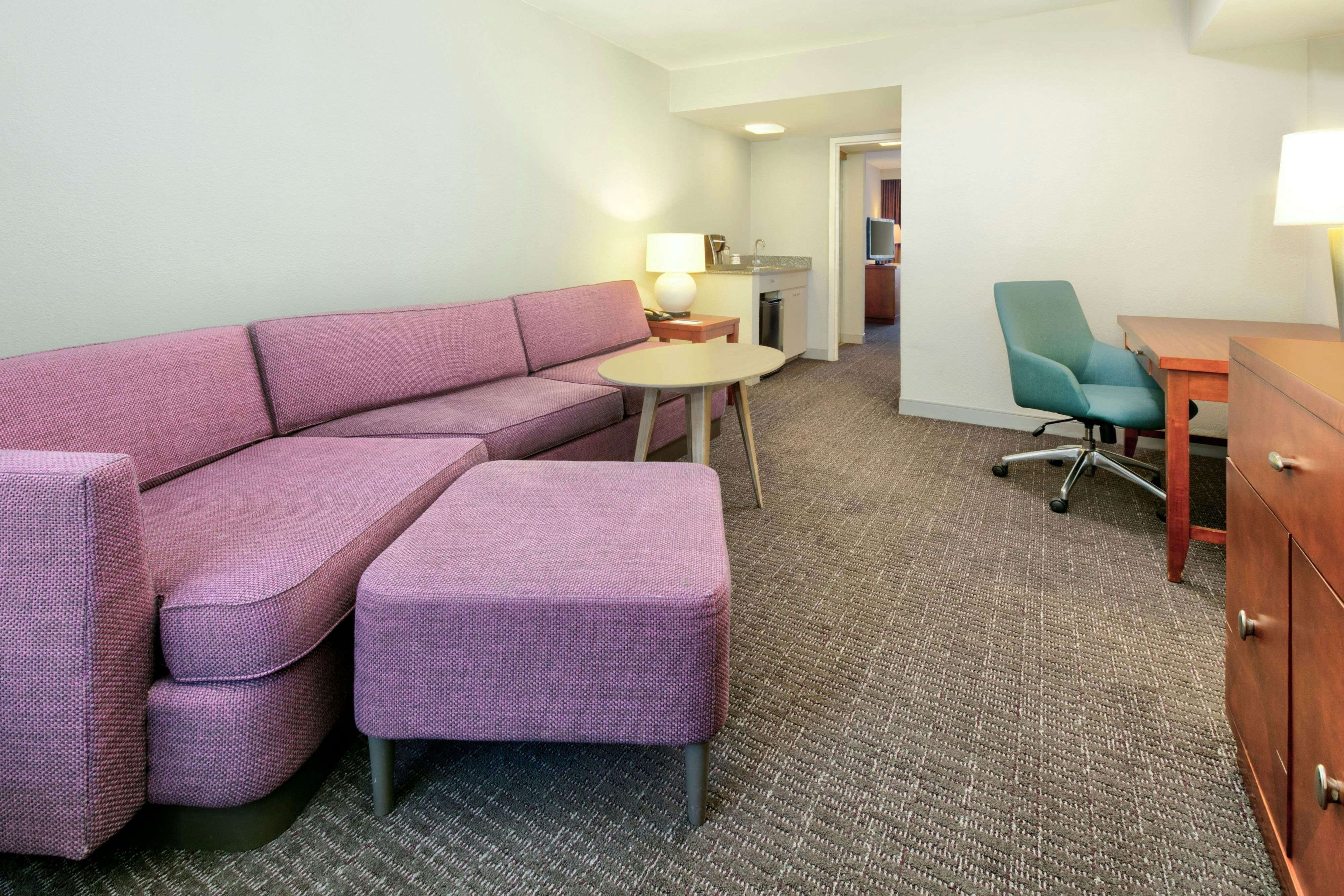 单人特大床套房，带浴缸，1卧室套房，1特大床，梳化床