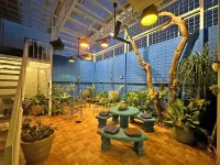 Jungla Urbana, Bnb