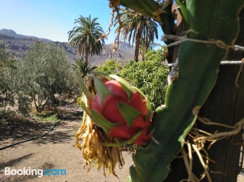 Las Casas de la Rueda - la CasitaHoliday Home