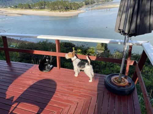 Tairua Treasure on Mount Paku Two-Bedroom House