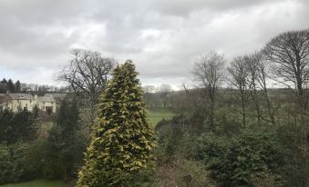 a tall tree with green leaves stands in a garden , surrounded by other trees and a cloudy sky at Stanley Arms Hotel