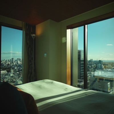 Aoyama Suite King with City View, Non Smoking