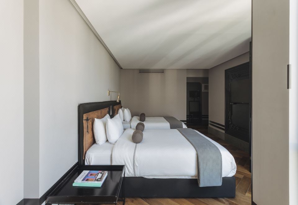 双人房， 2 张大床