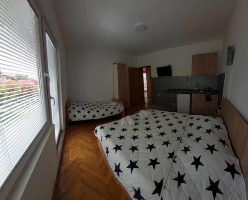 标准三人一室公寓