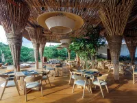 Hotel Shibari - Restaurant & Cenote Club Hotels in Tulum