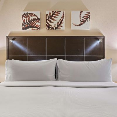 豪華雙人床房 希爾頓德雷斯頓酒店優惠