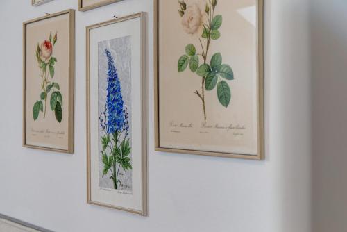 高级一卧室带阳台公寓