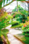 Oasis Beach Resort Hotels in 