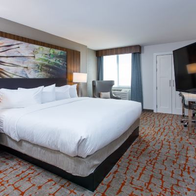 King Room with Roll-in Shower-Mobility/Hearing Accessible DoubleTree by Hilton Appleton Promo Code
