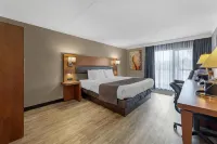 Best Western Hotel Universel Drummondville Hotels in 