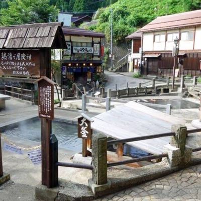 Japanese-Style Room (8 Tatami) Nozawa Onsen Shinshu salmon rock fish carp trou Promo Code