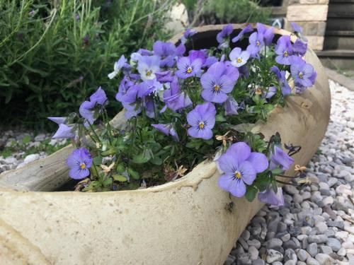 带阳台的两卧室公寓