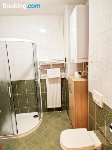 一卧室公寓（带阳台）