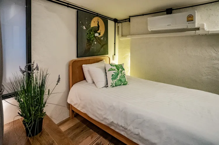 Condo, Entire House or Apartment