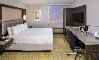 Holiday Inn Dallas-Richardson