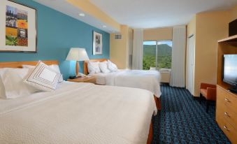 Fairfield Inn & Suites Roanoke Hollins/I-81