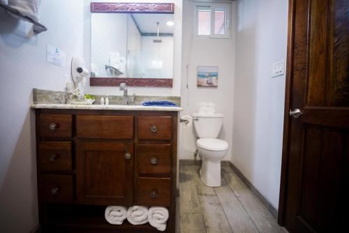 享有游泳池景致的一室公寓