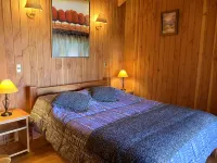 Mirador Los Volcanes Lodge & Boutique Hotels in Pucón
