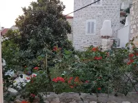 Apartments Nona 1