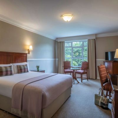 Standard Double or Twin Room Court Yard Hotel Promo Code